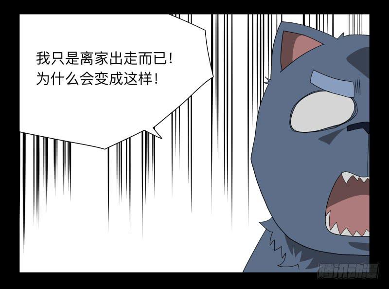 051-猫左犬右part1-第51话