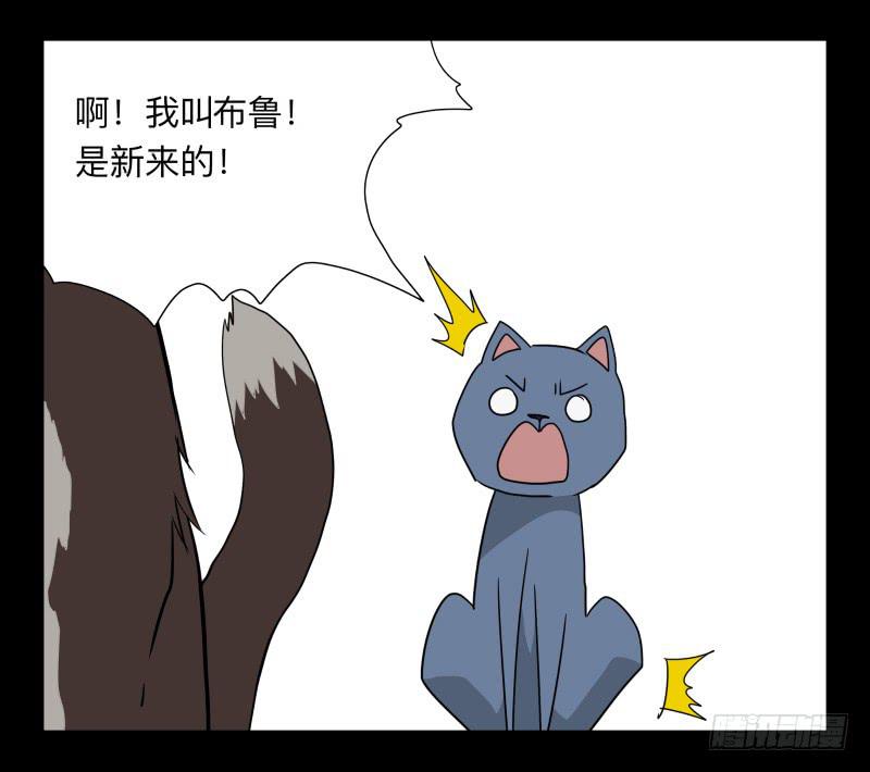 051-猫左犬右part1-第51话