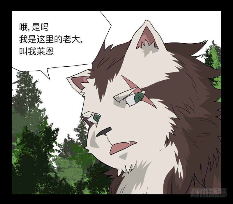 051-猫左犬右part1-第51话