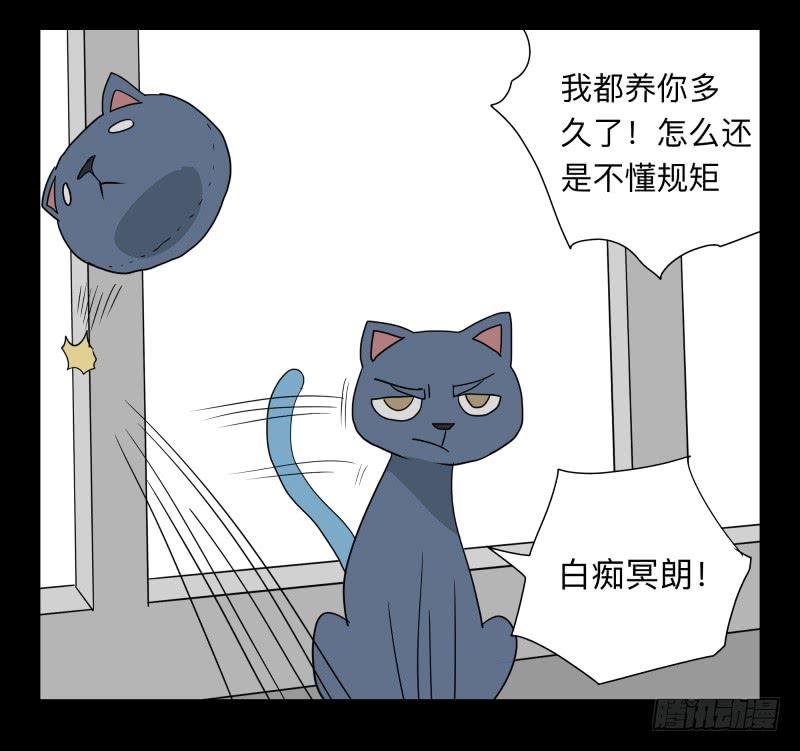 051-猫左犬右part1-第51话