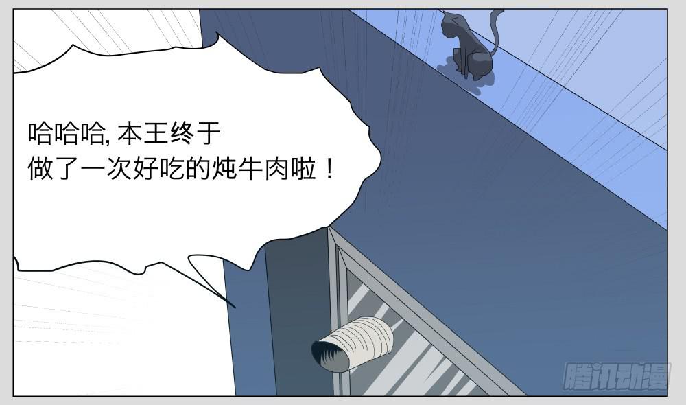 009猫和他的猫part1-第9话