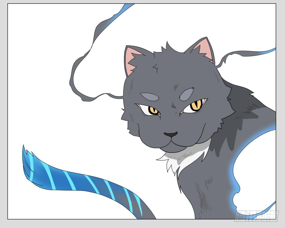 009猫和他的猫part1-第9话