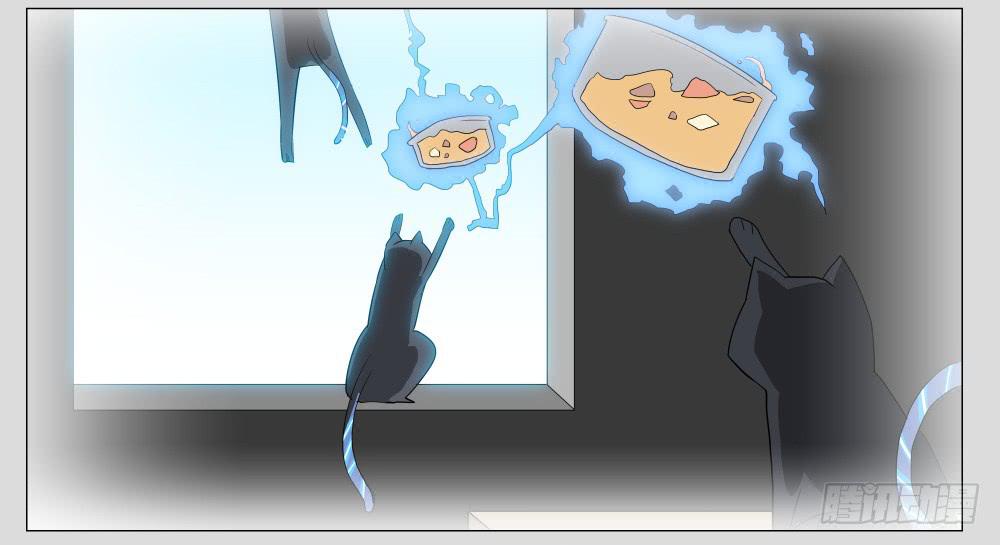 009猫和他的猫part1-第9话