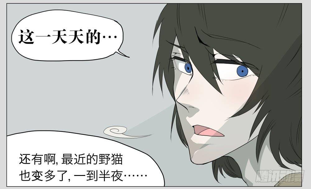 009猫和他的猫part1-第9话