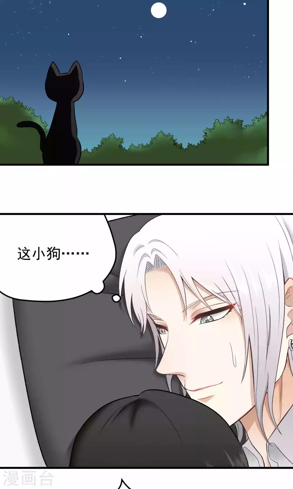 第131话 爱粘人的小狗-第131话