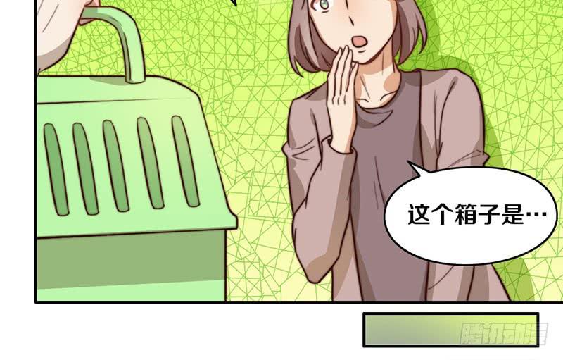 第29话 礼物(1/2)-第29话