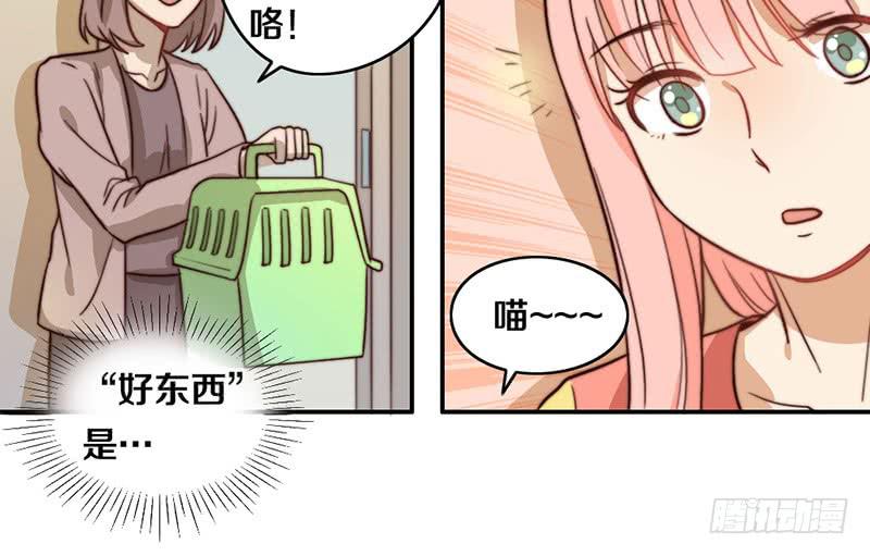 第29话 礼物(1/2)-第29话