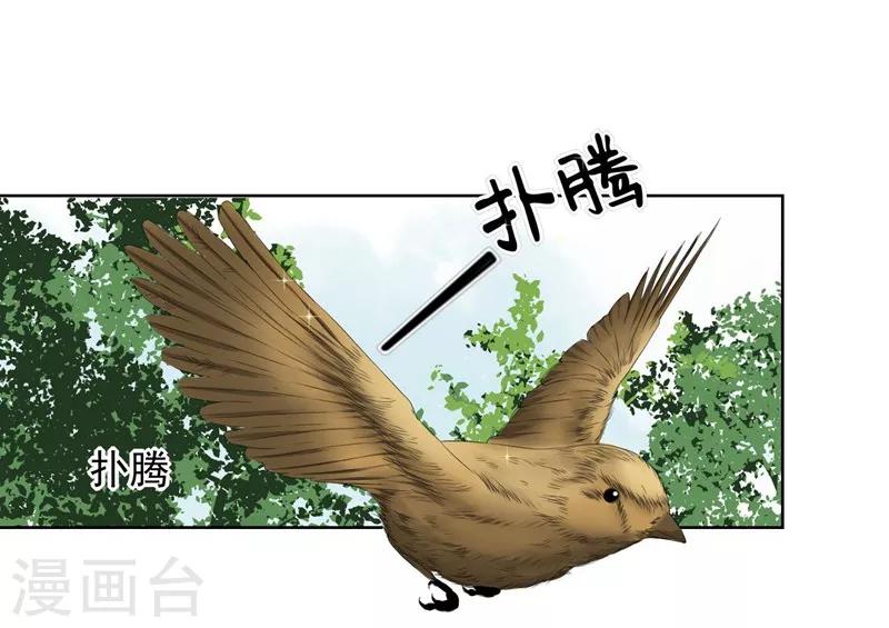 第23话 来决斗吧！秦简兮！-第25话