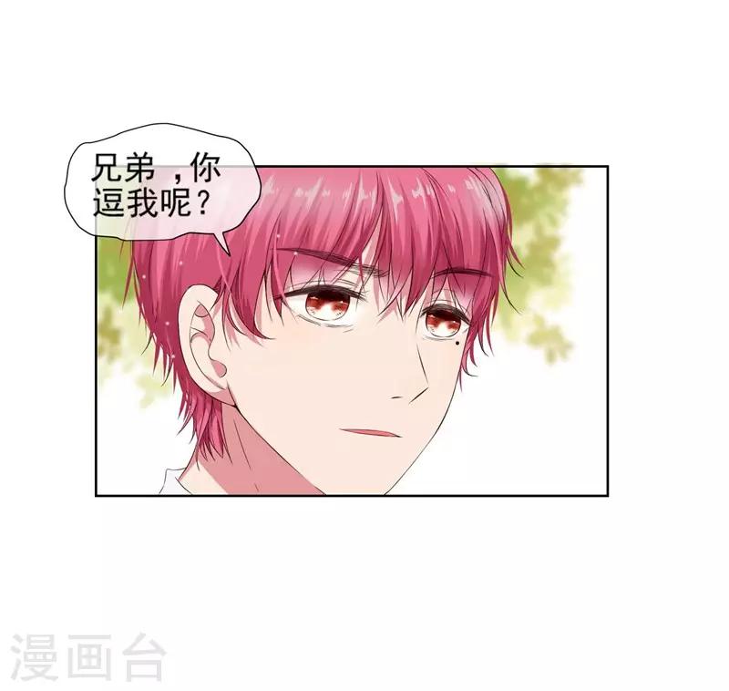 第7话 好狗不挡道！-第7话