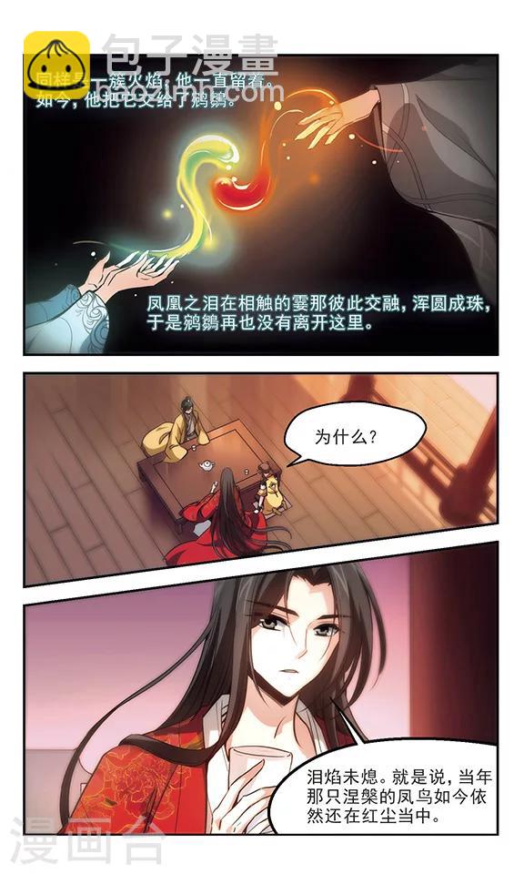 第30话 凤凰泪-第31话