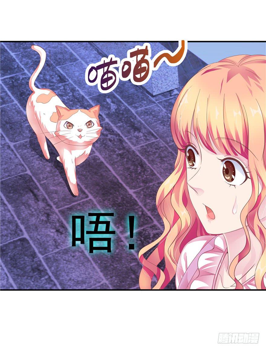 二十七回 危险夜色-第29话