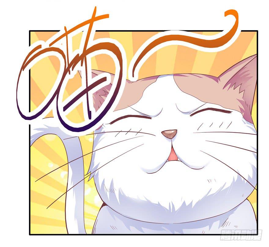 二十七回 危险夜色-第29话