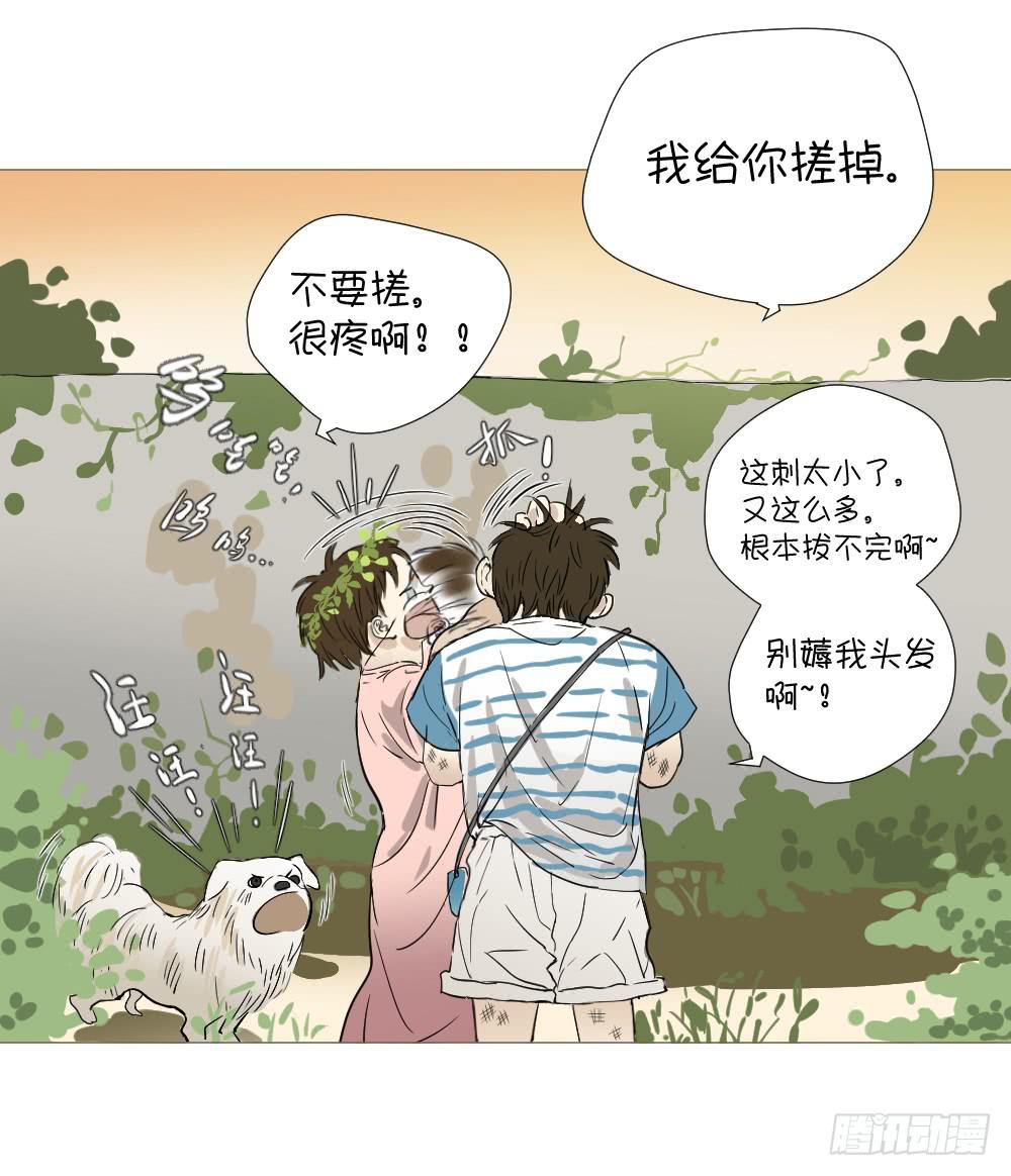 爱与自由（下）-第47话