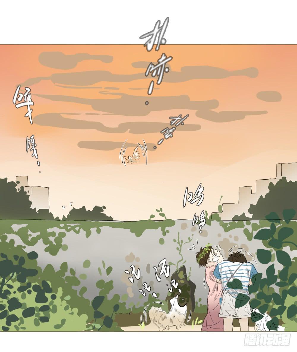 爱与自由（下）-第47话