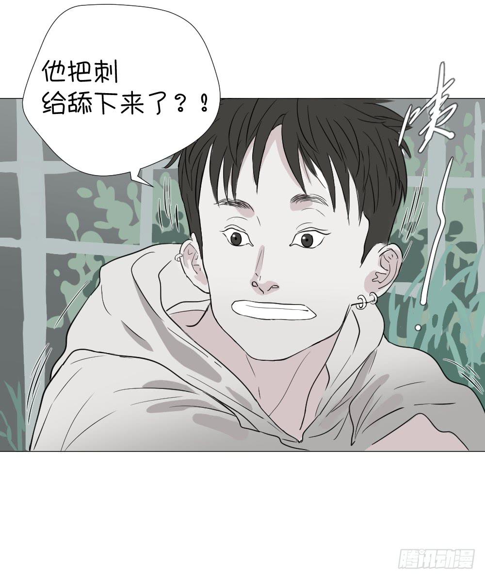 爱与自由（下）-第47话