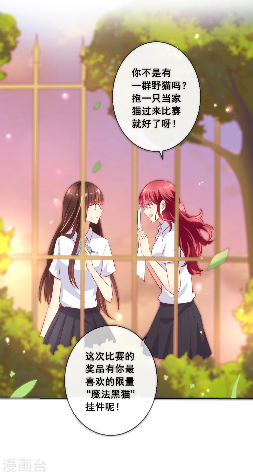 第65话 参加猫咪选美大赛？！-第69话