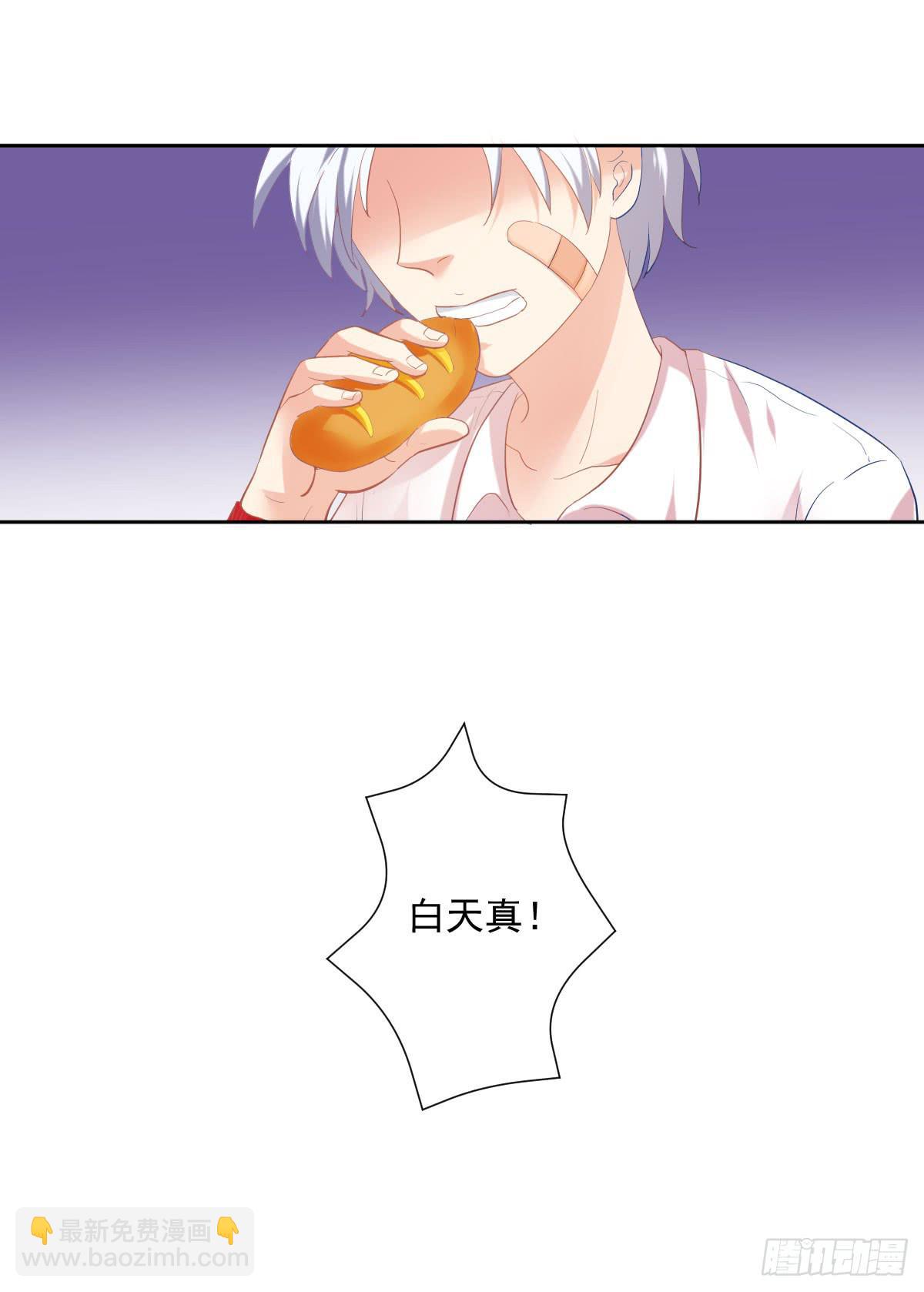 不自量力的挑衅(1/2)-第5话