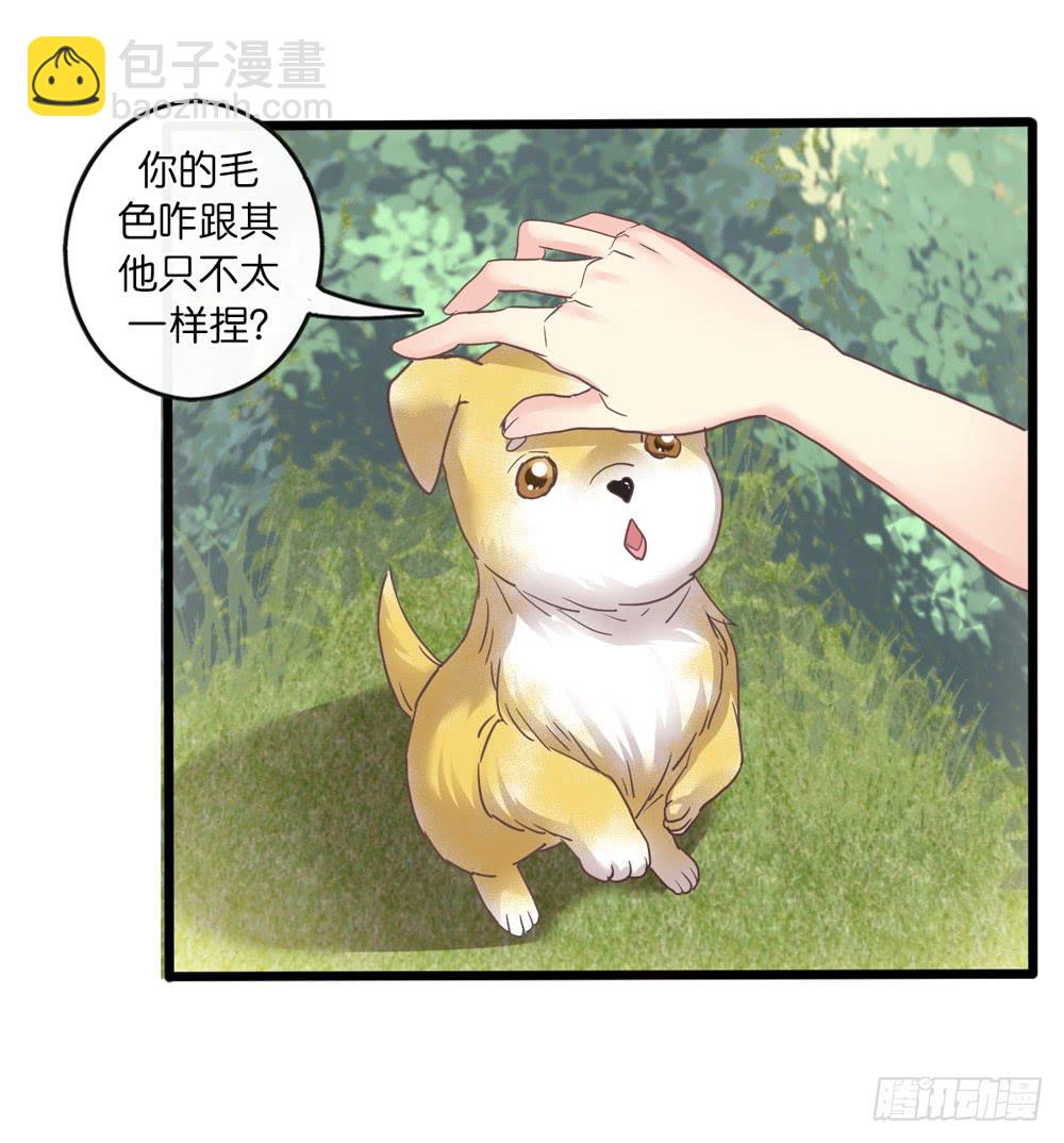 18、转角遇见谁-第19话