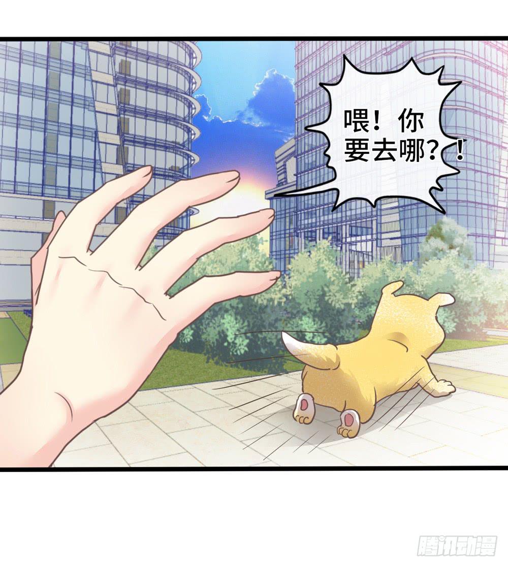 18、转角遇见谁-第19话