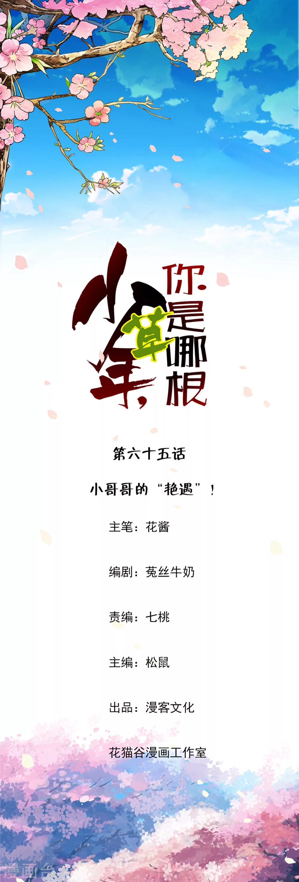 第65话 小哥哥的&ldquo;艳遇&rdquo;！-第67话