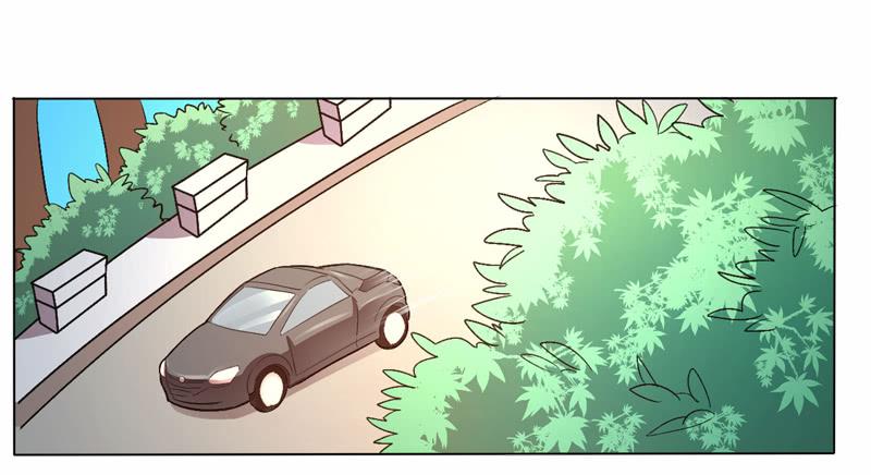 彩云之南-第15话