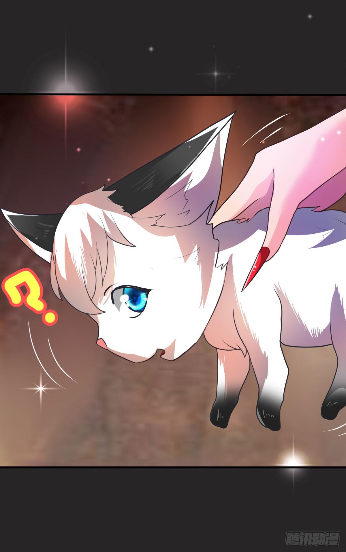 漂亮女人不可信啊！！-第31话