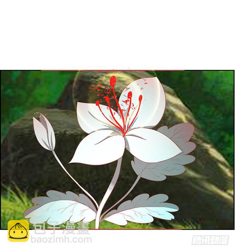 传说中的白岩草出现啦！-第57话