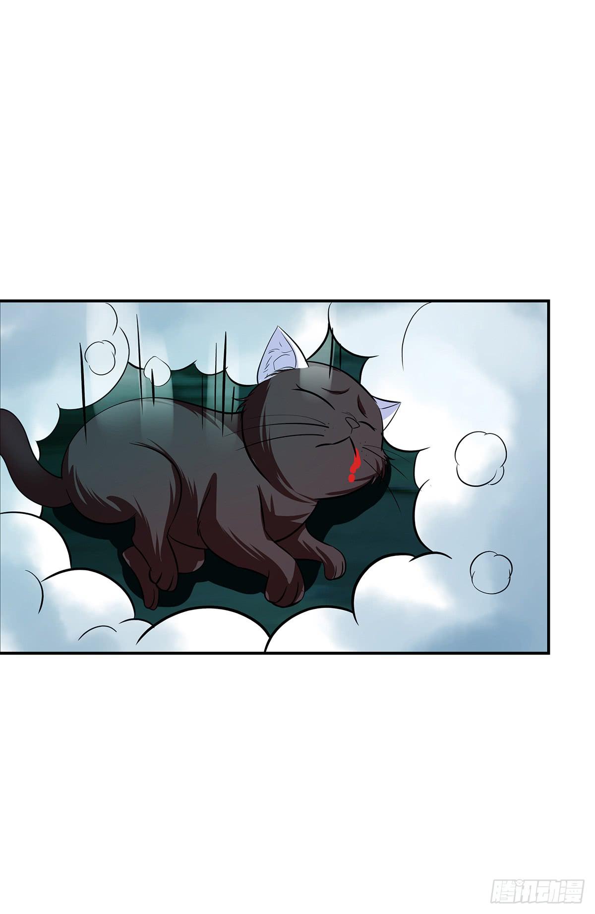 大哥被猫妖抓了？(1/2)-第63话