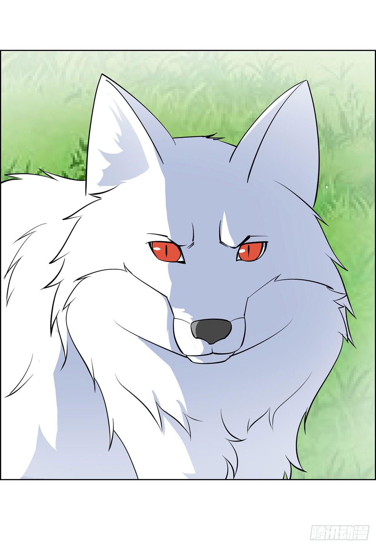 这只臭狐狸迟早会造报应！-第91话