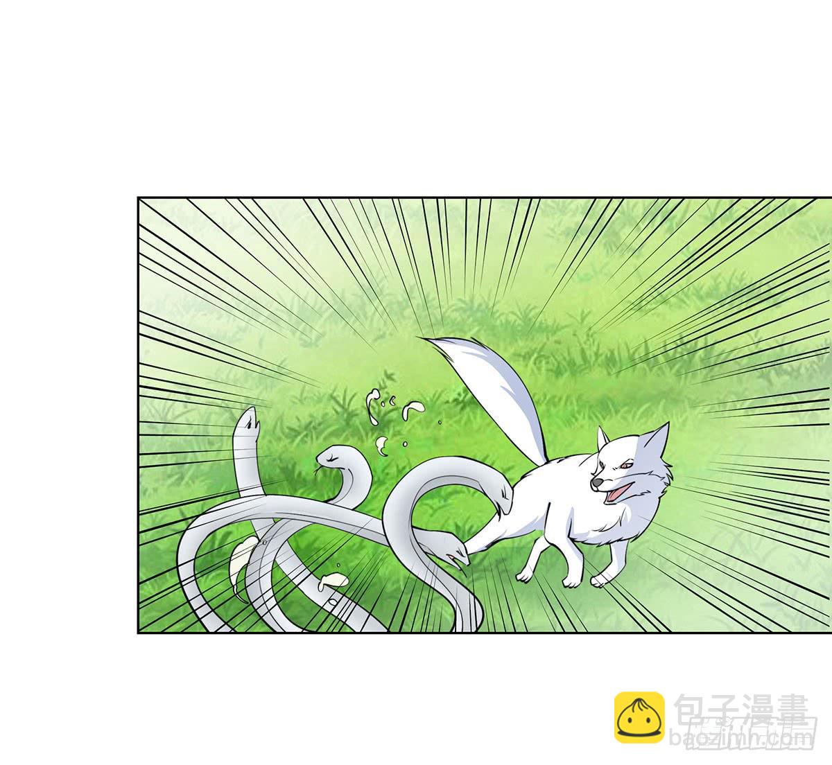 这只臭狐狸迟早会造报应！-第91话