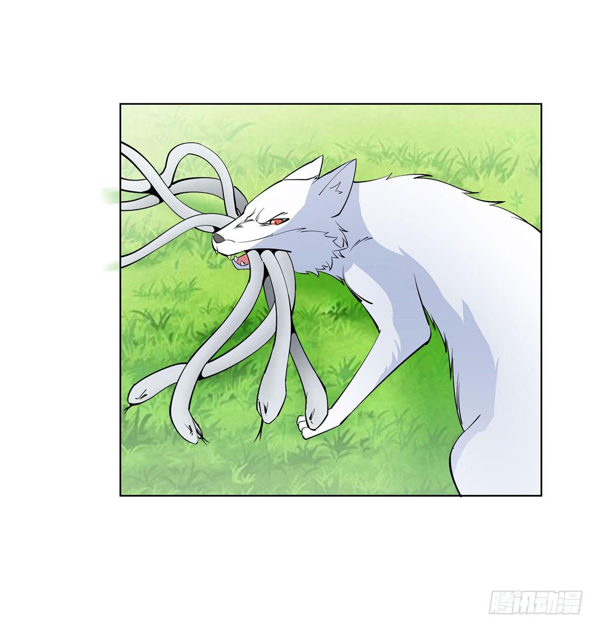 这只臭狐狸迟早会造报应！-第91话