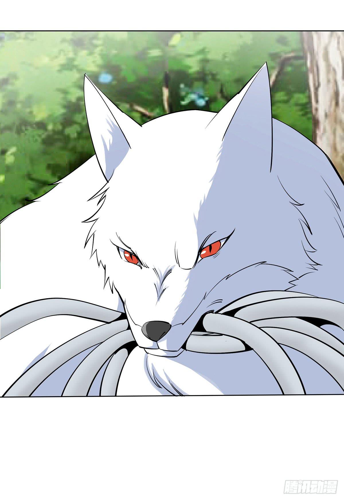 这只臭狐狸迟早会造报应！-第91话