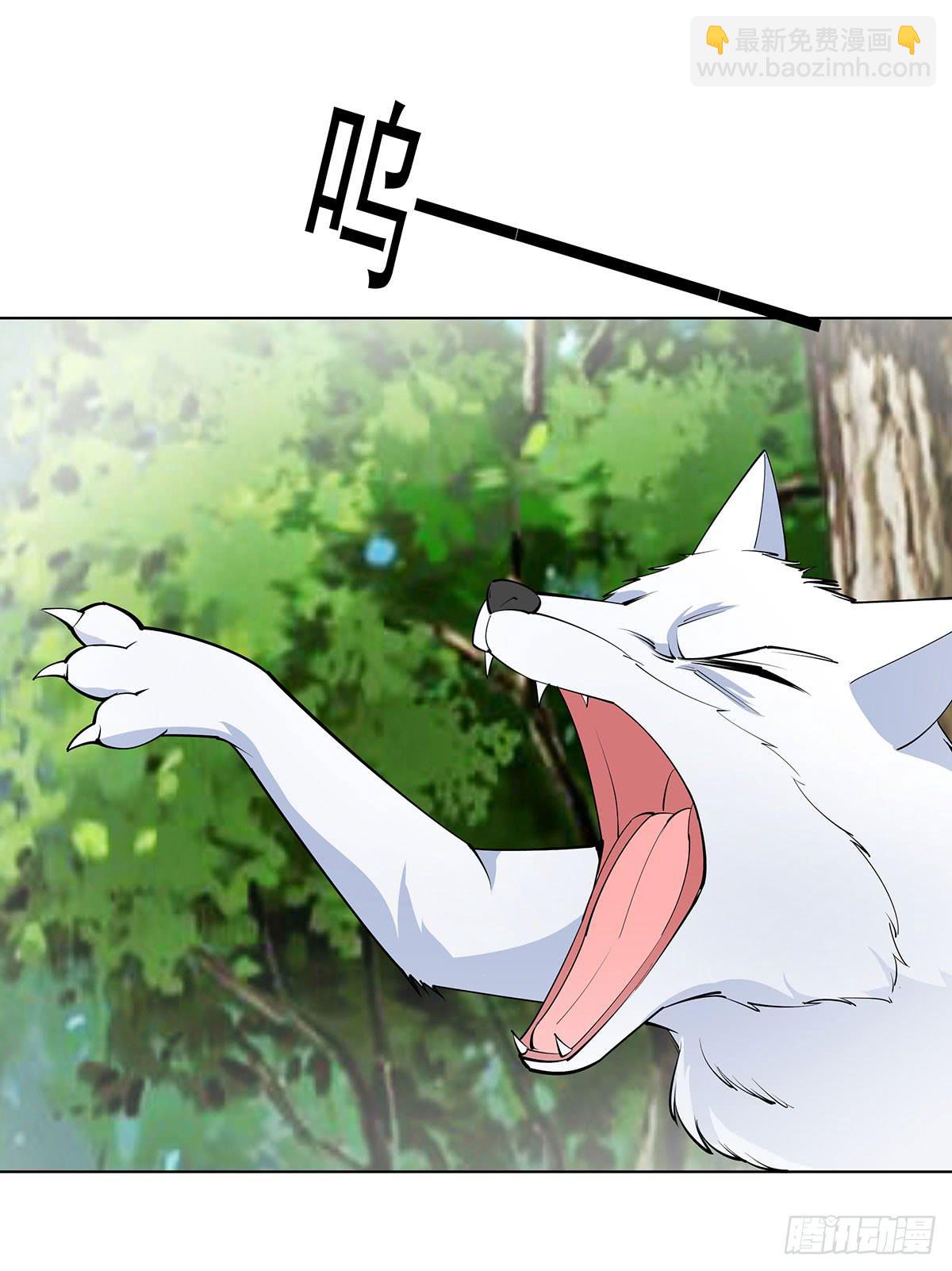 这只臭狐狸迟早会造报应！-第91话