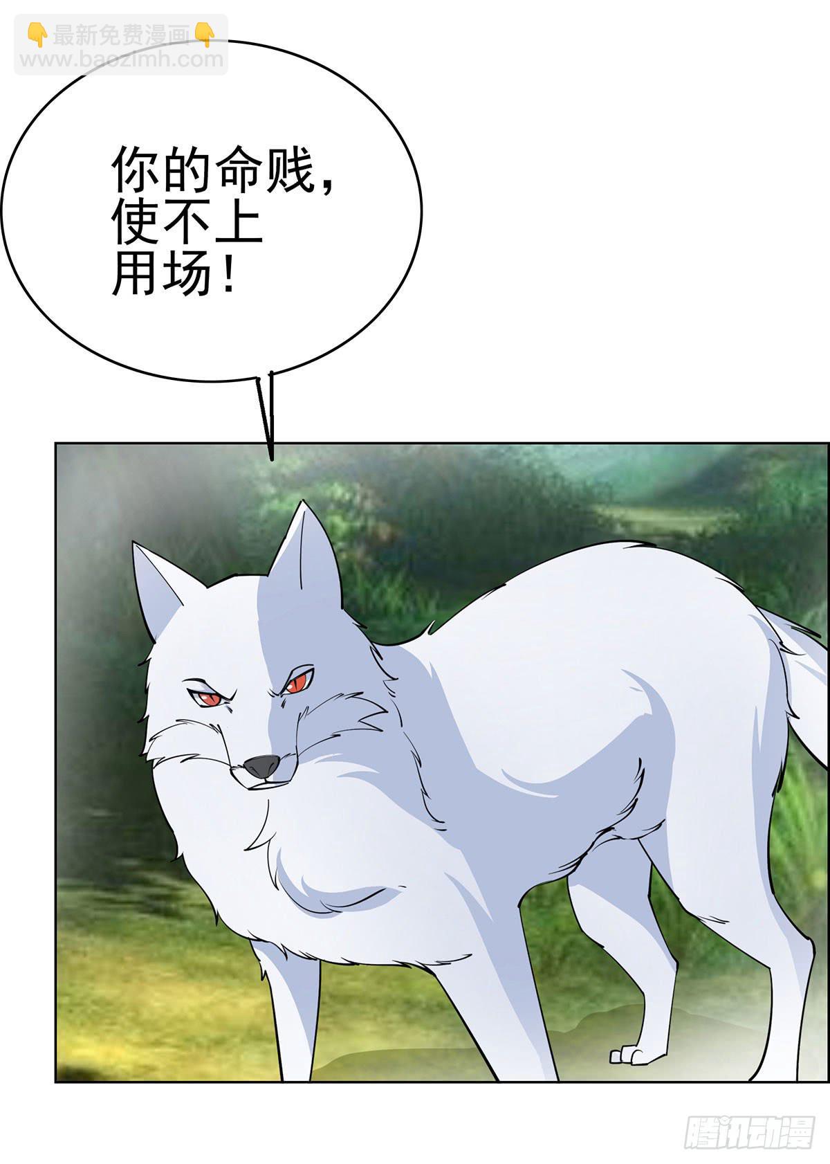 这只臭狐狸迟早会造报应！-第91话