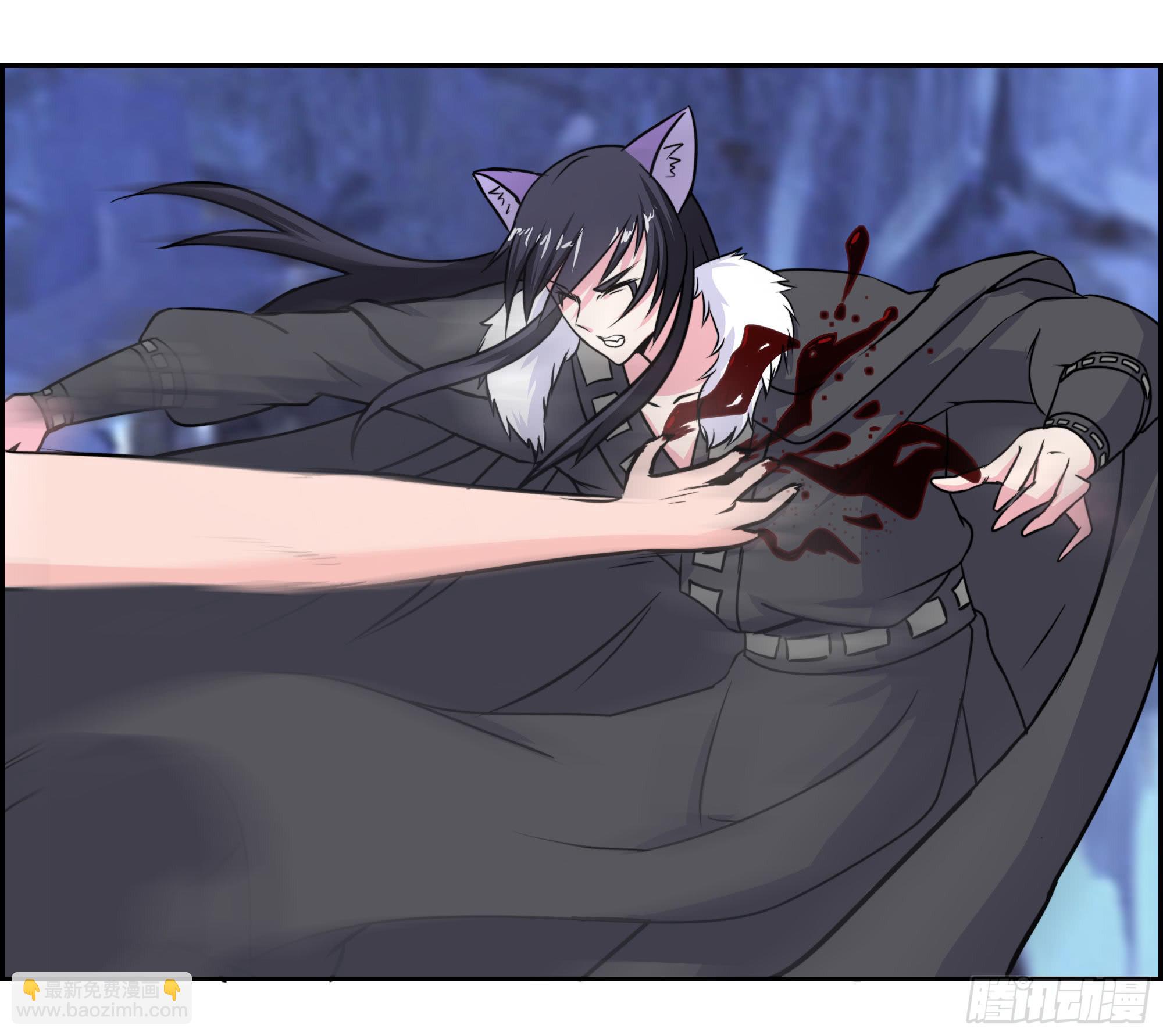 狐狸女王重伤岚帝-第97话