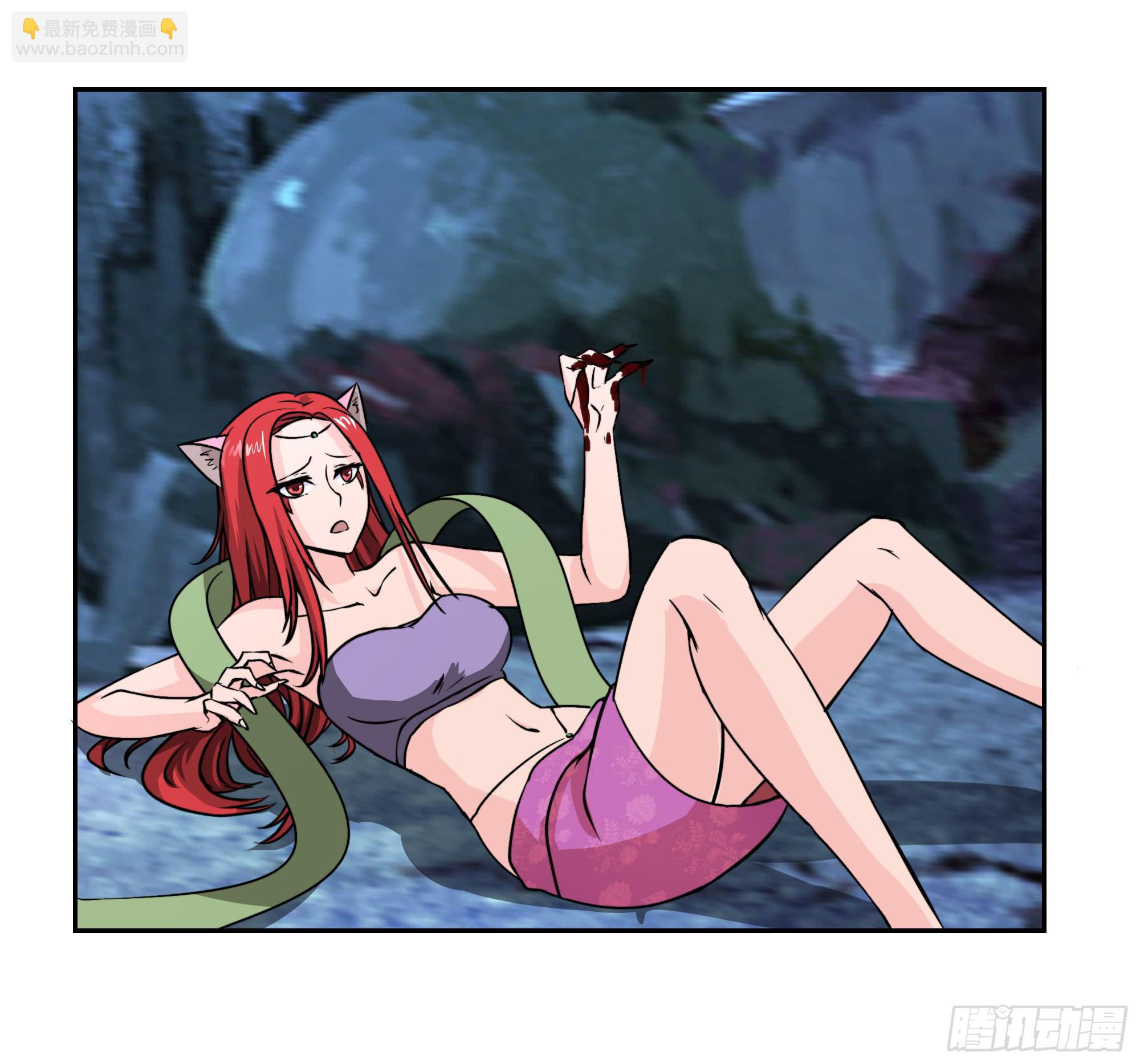 狐狸女王重伤岚帝-第97话