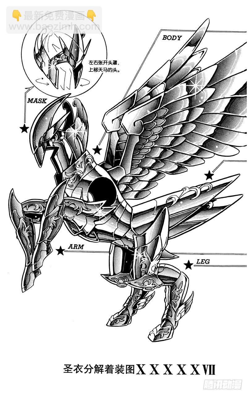 番外29 神圣衣分解着装图-第29话