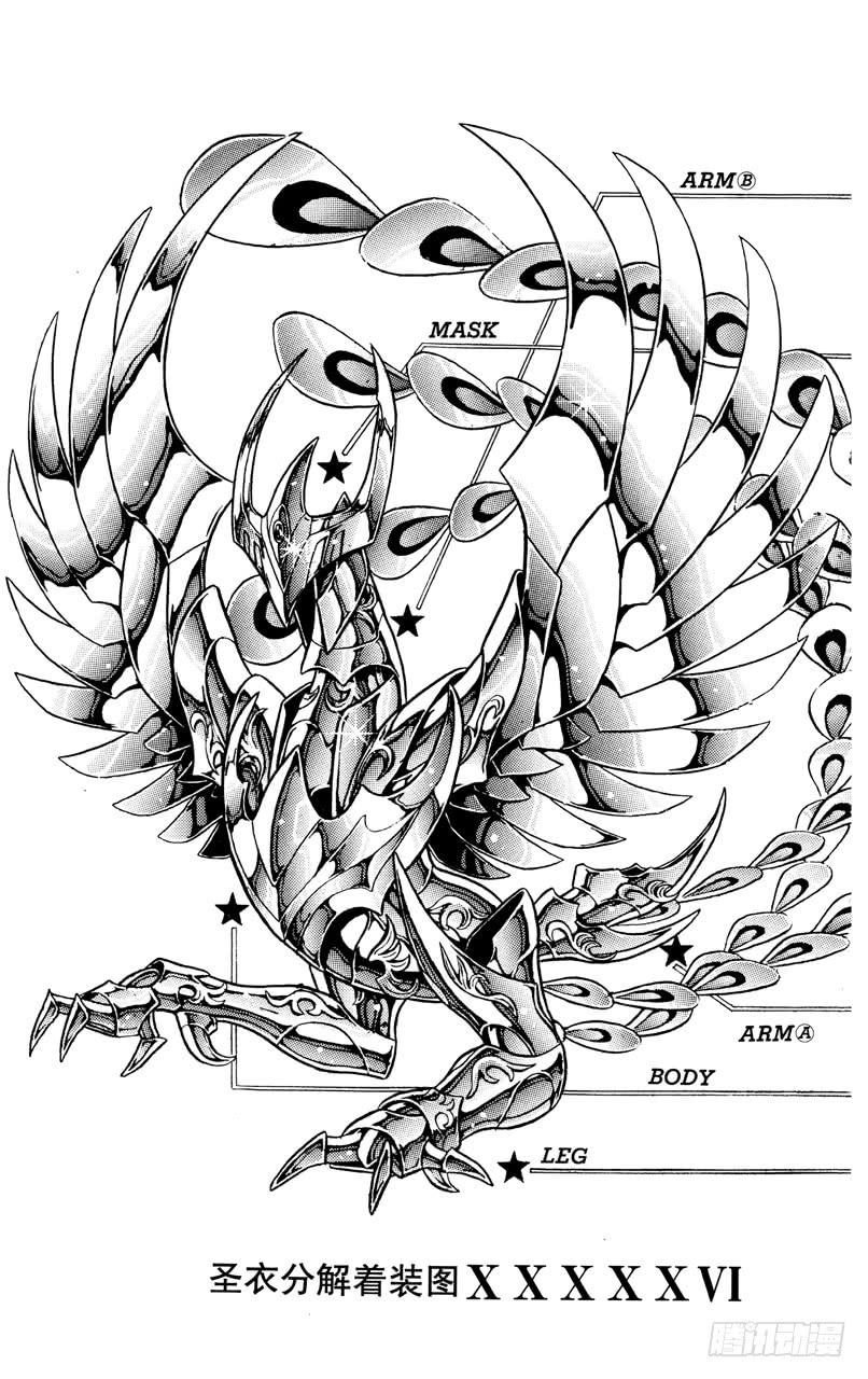 番外29 神圣衣分解着装图-第29话