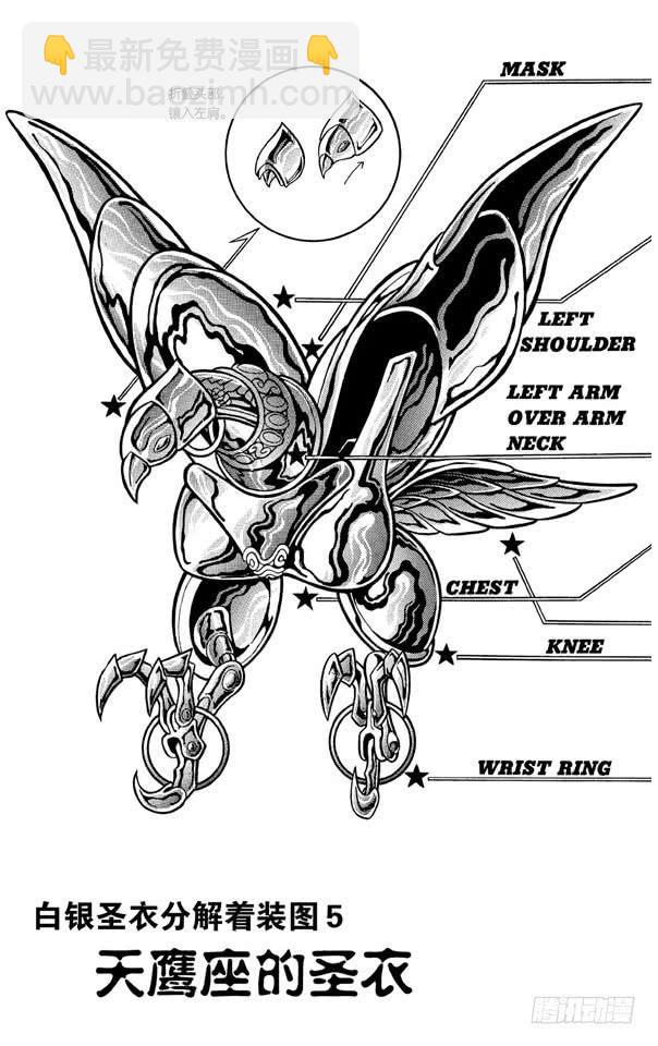 番外5 圣衣分解着装图-第5话