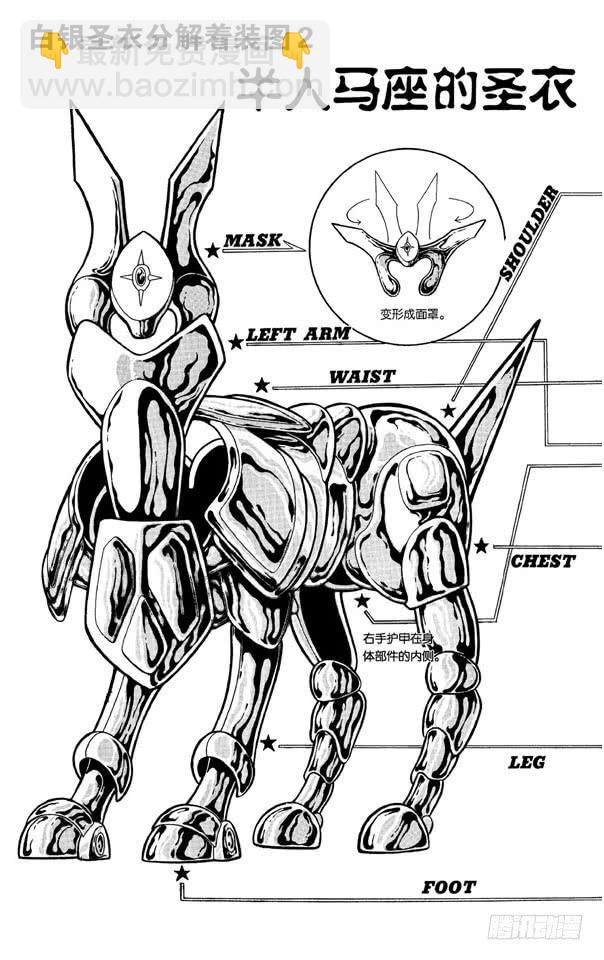 番外5 圣衣分解着装图-第5话