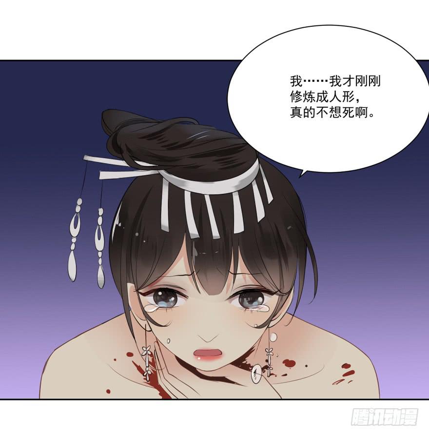 继承的血统(1/2)-第23话