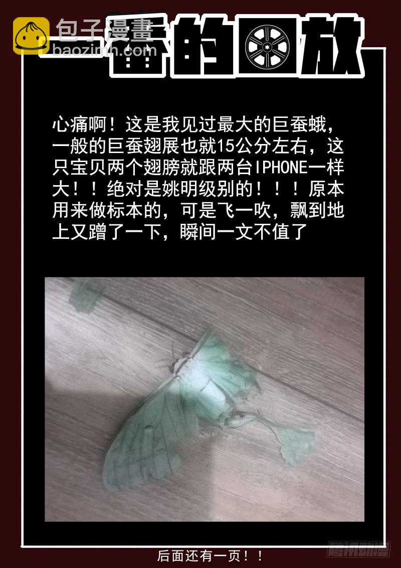 47死 怪胎生猛-第47话