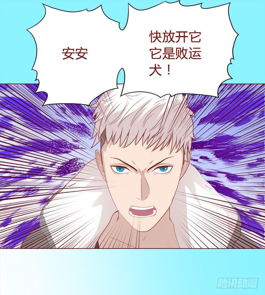 017灵宠（下）-第29话