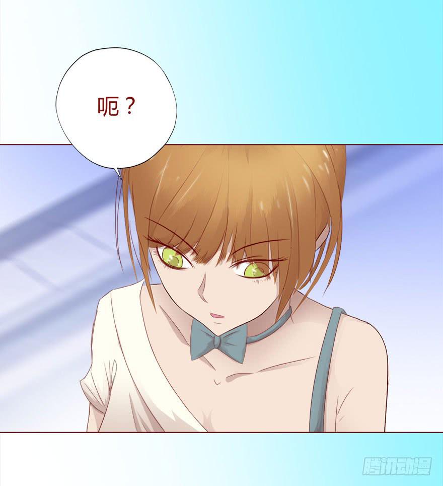 017灵宠（下）-第29话