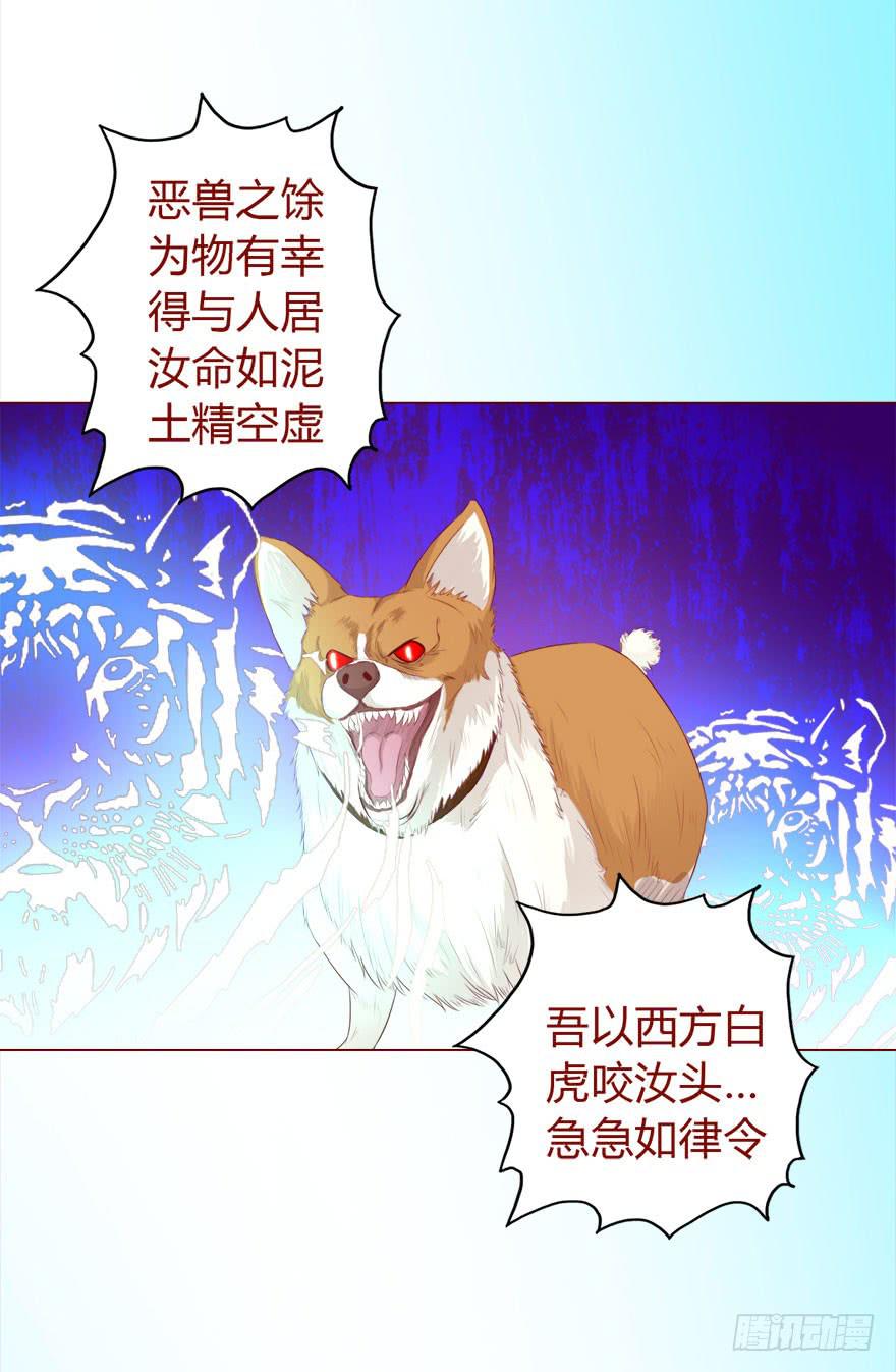 017灵宠（下）-第29话