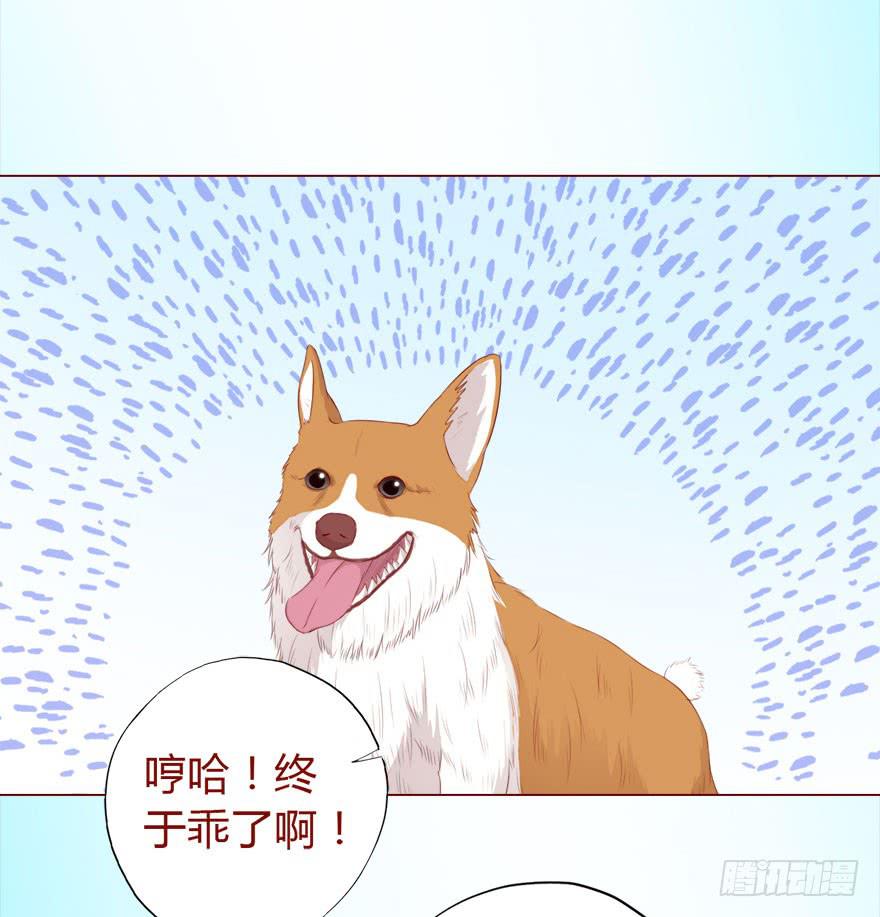 017灵宠（下）-第29话