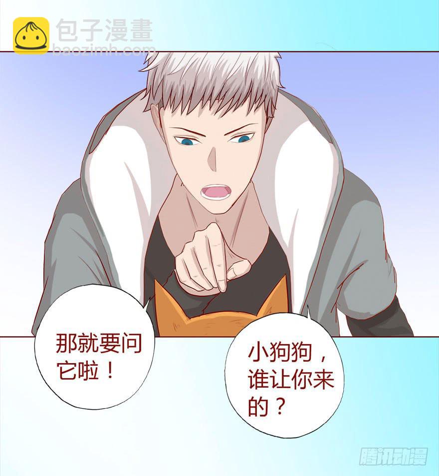 017灵宠（下）-第29话