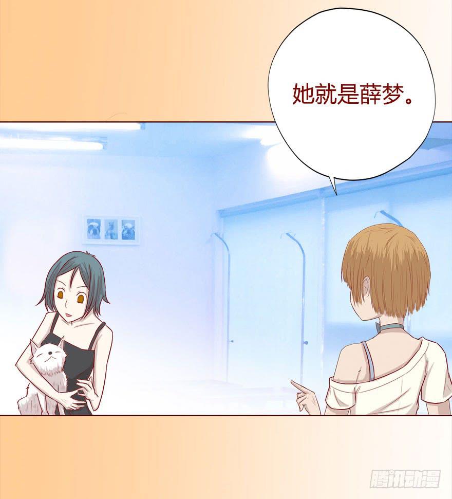 017灵宠（下）-第29话