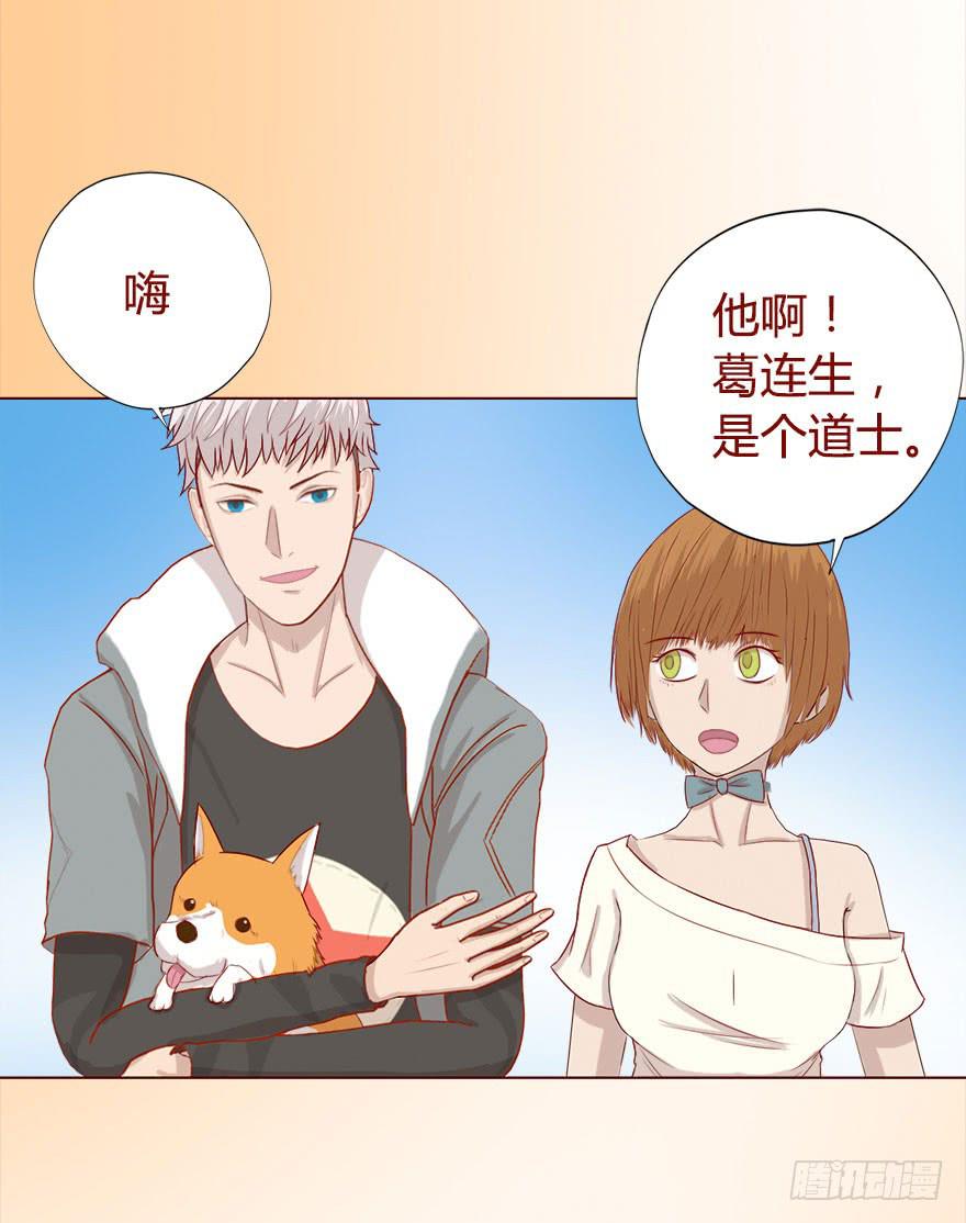 017灵宠（下）-第29话