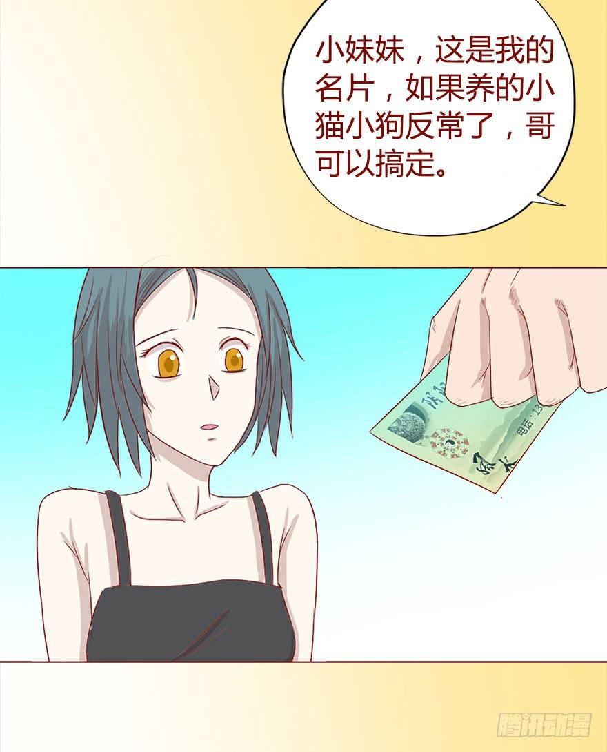 017灵宠（下）-第29话